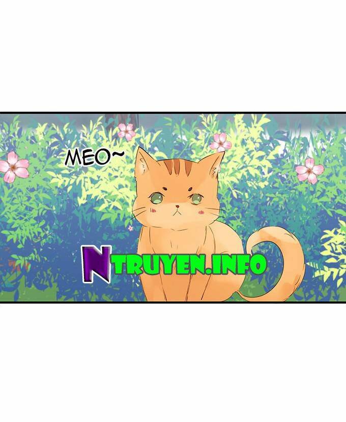 Chương 16 - Trang 46