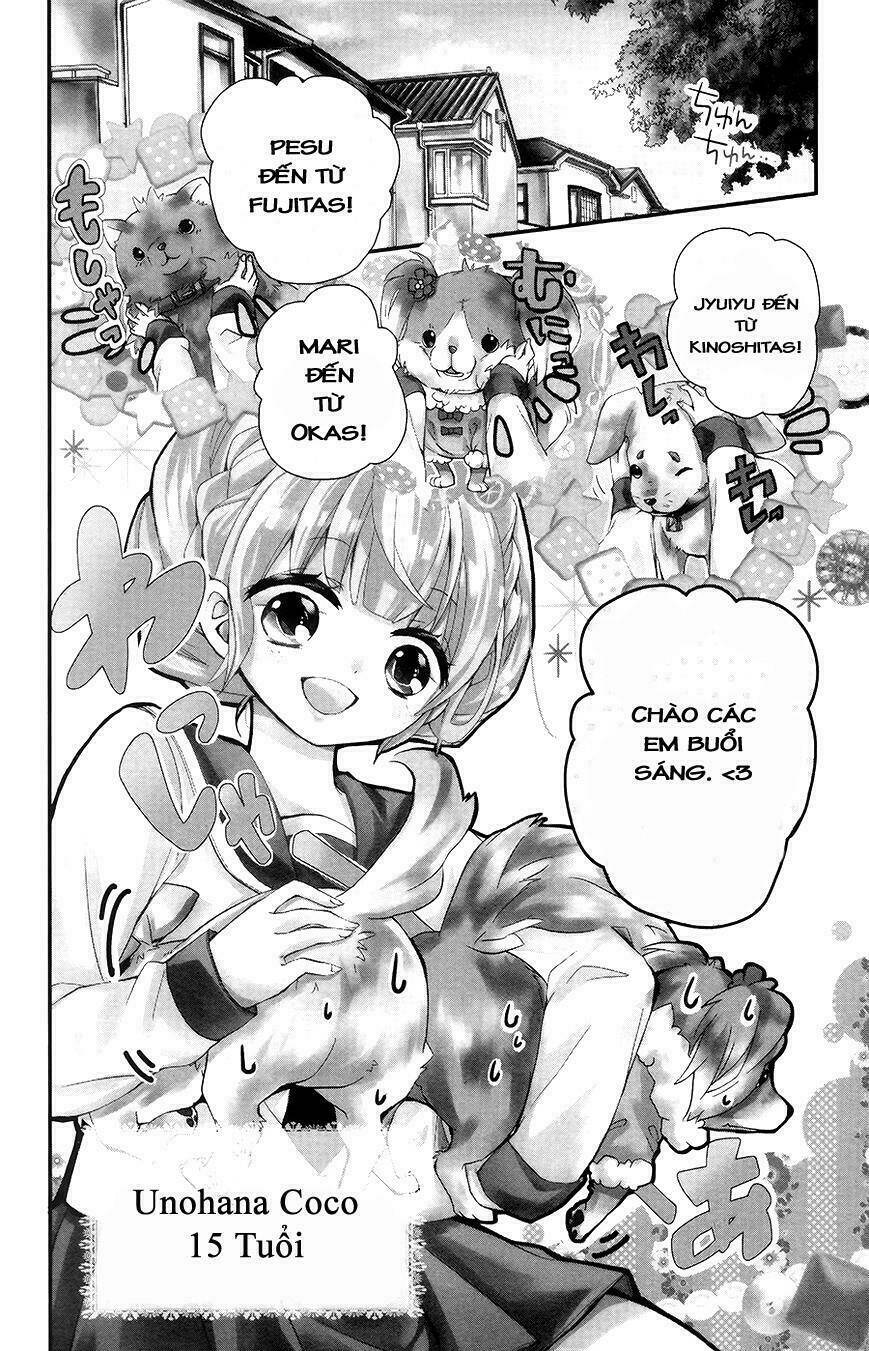 Trang 4