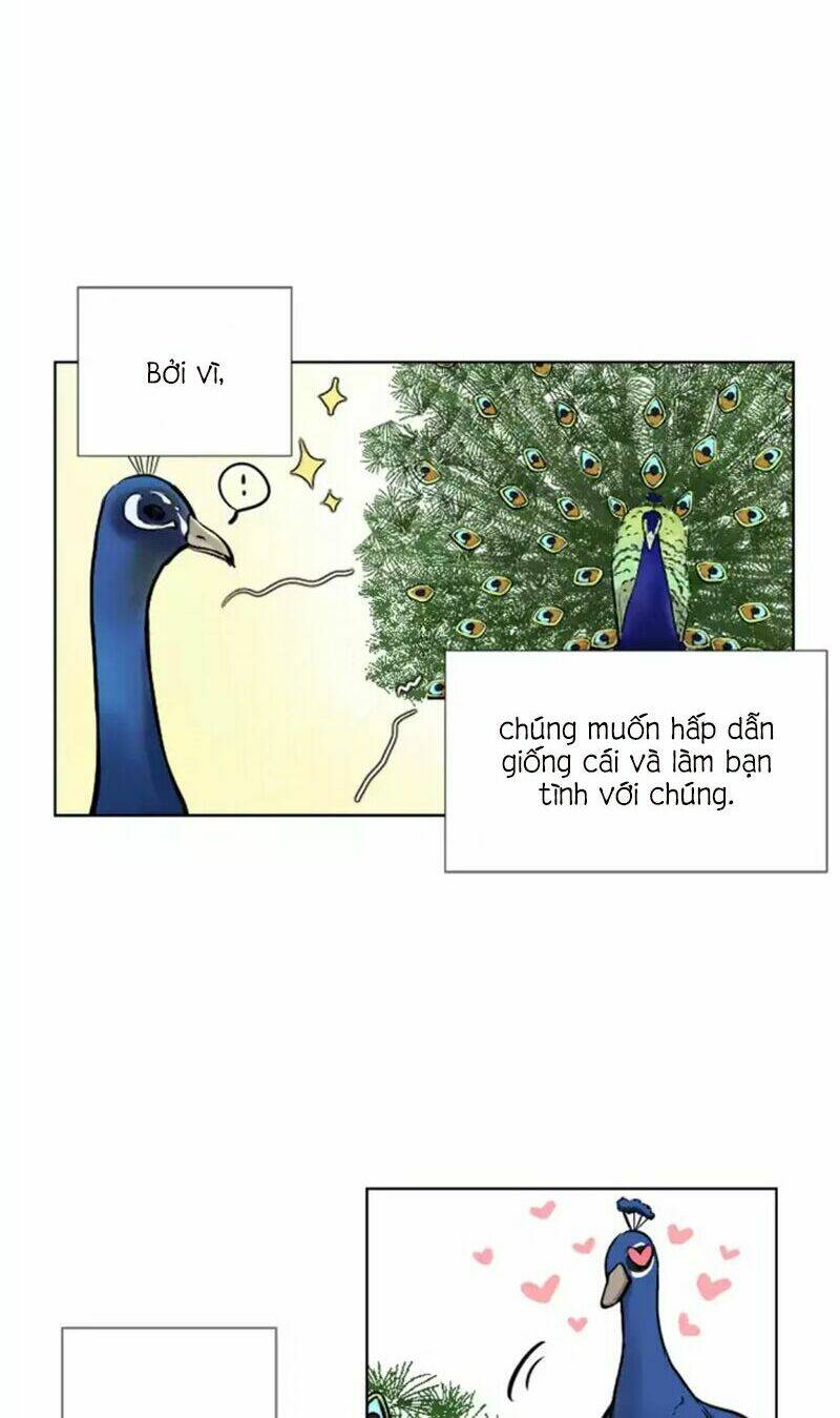 Chương 9 - Trang 4