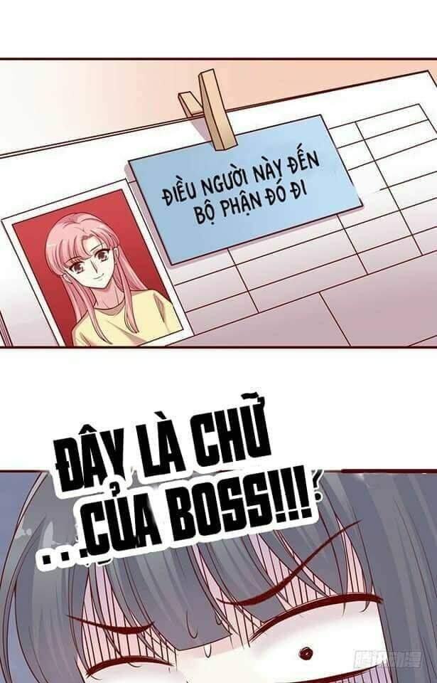Trang 19