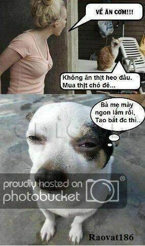 Chương 16 - Trang 2