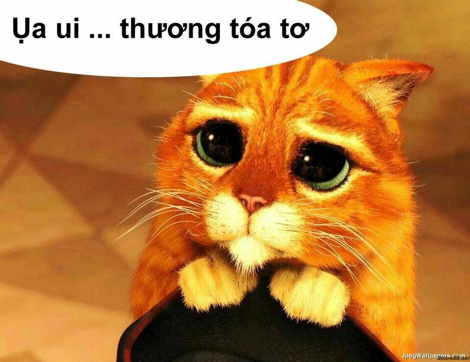 Chương 2 - Trang 37