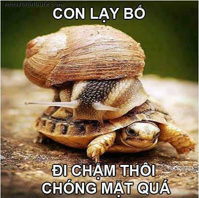 Chương 21 - Trang 23