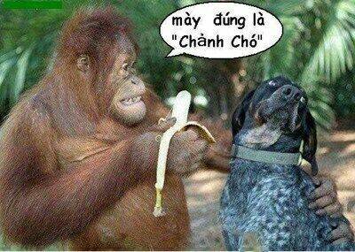 Chương 21 - Trang 8