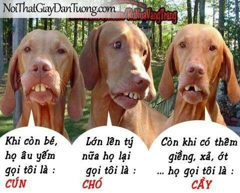Chương 6 - Trang 25