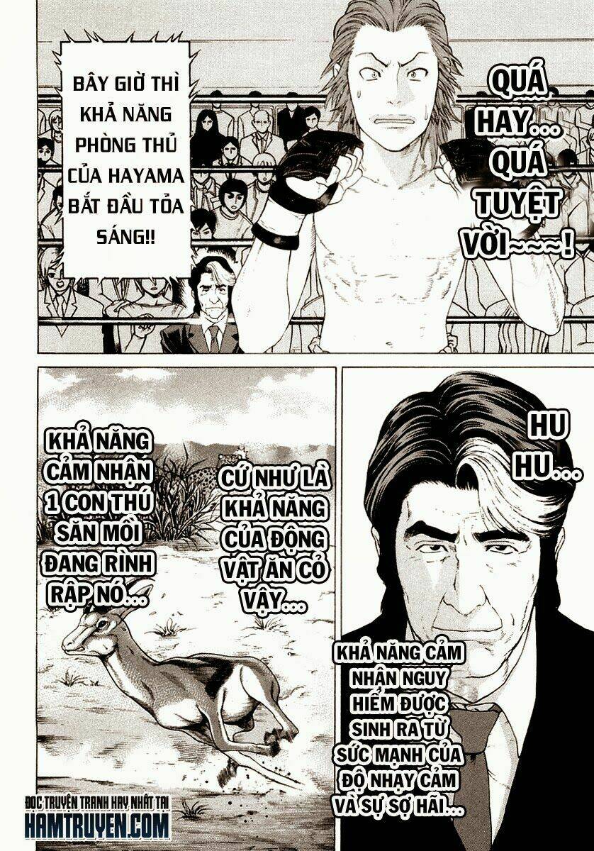 Chương 196 - Trang 10