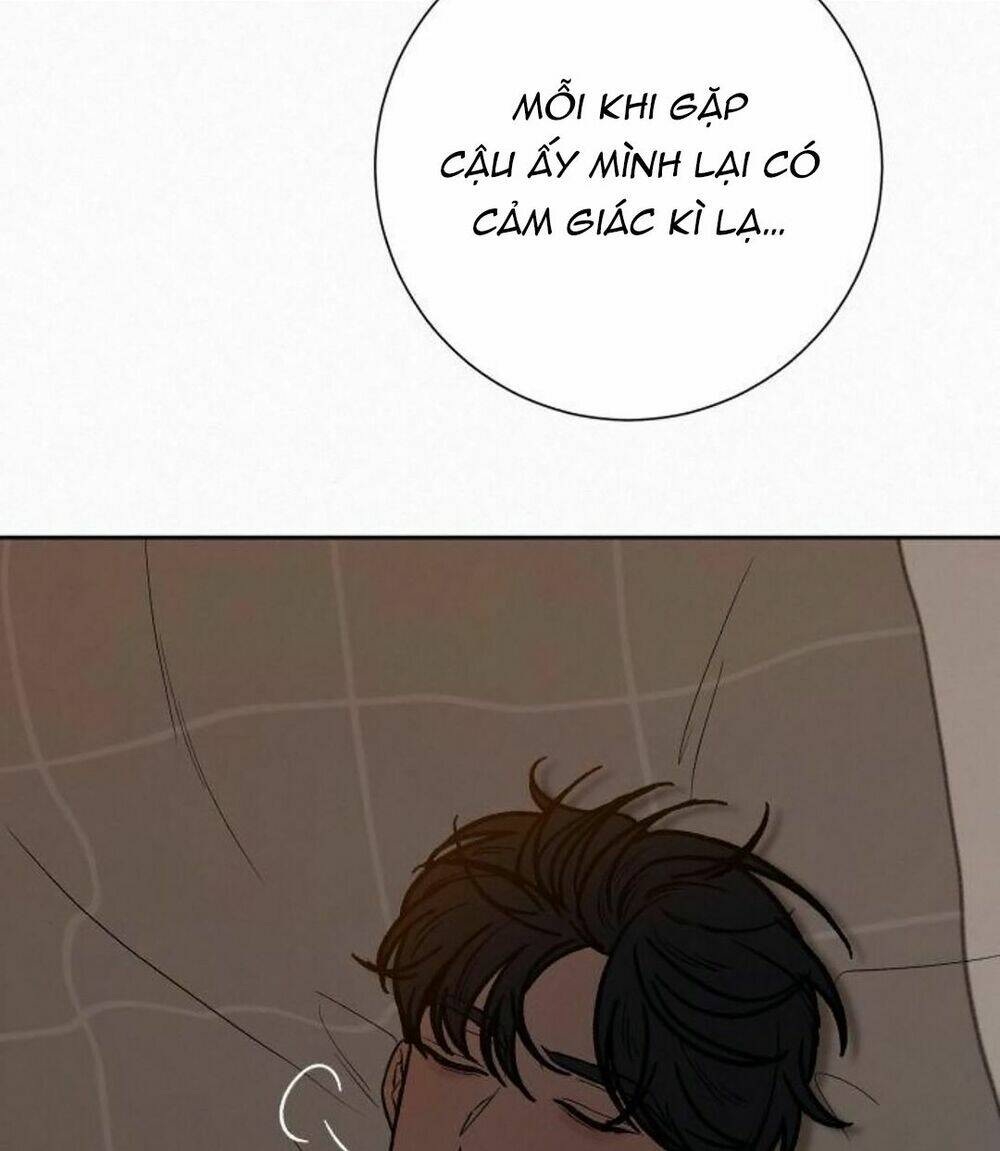 Chương 22 - Trang 81
