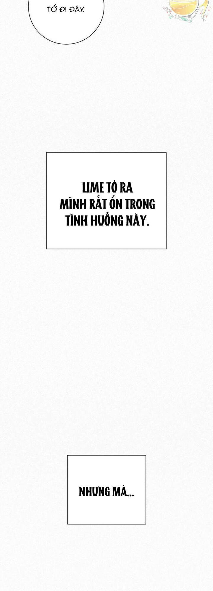 Chương 33 - Trang 31