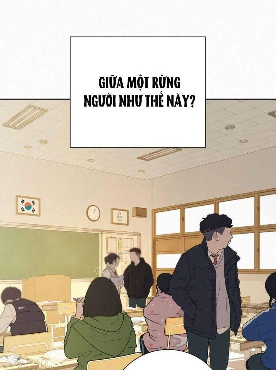 Chương 40 - Trang 38