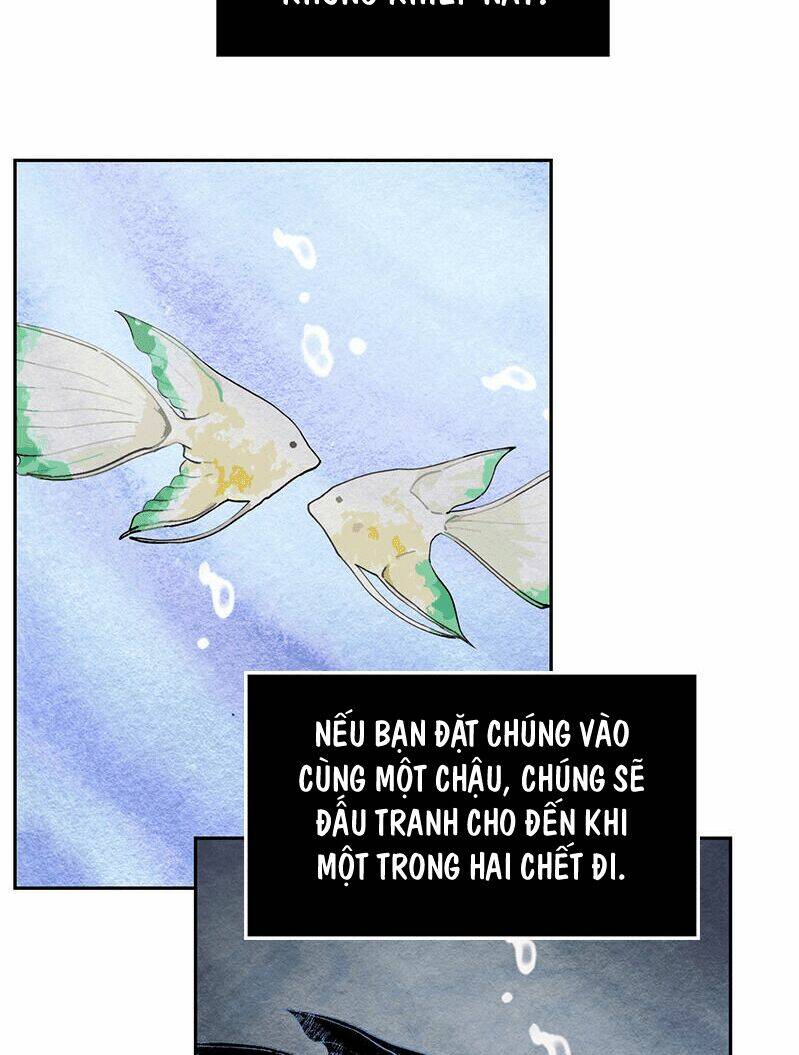Chương 8 - Trang 17