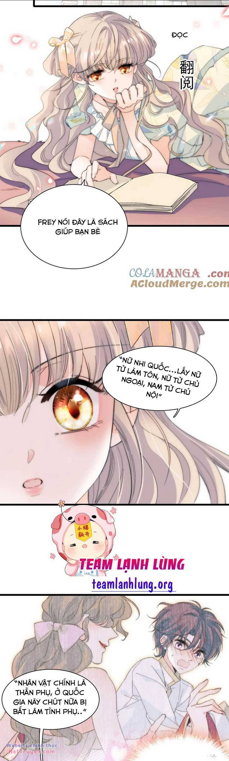Trang 19