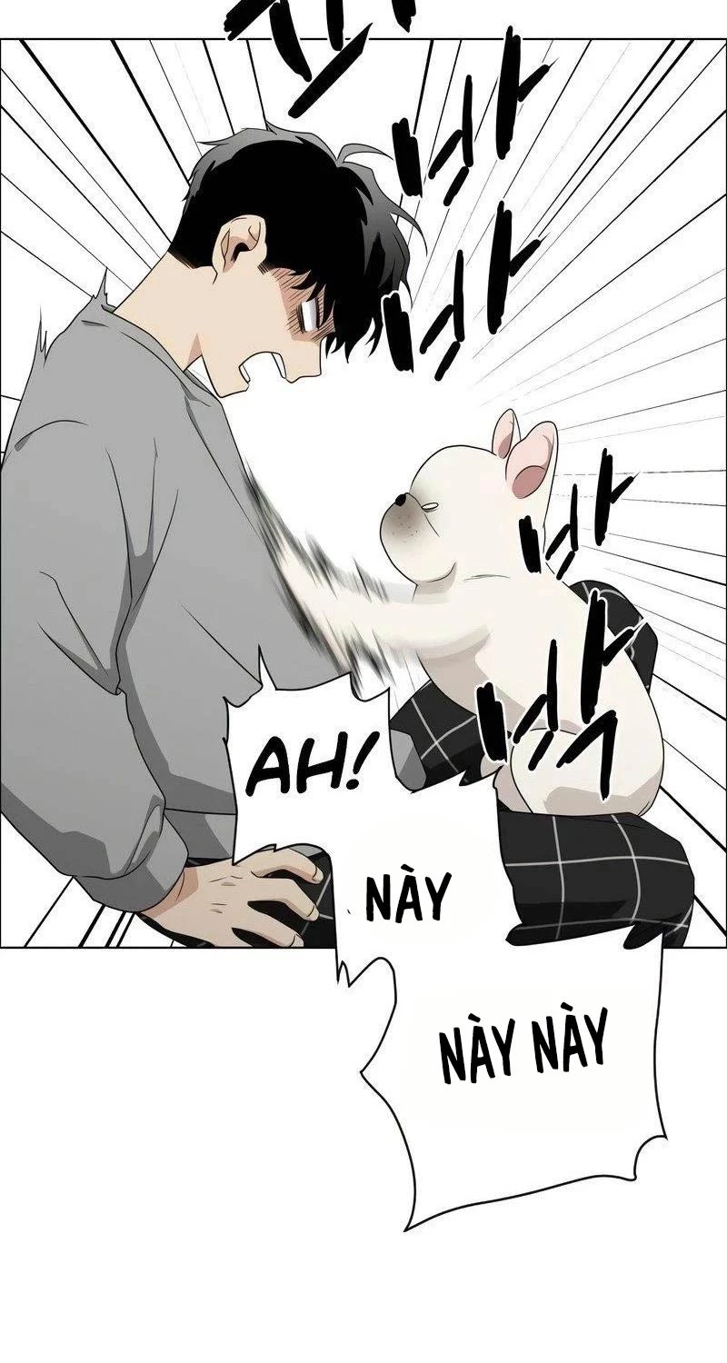 Chapter 1 - Trang 228