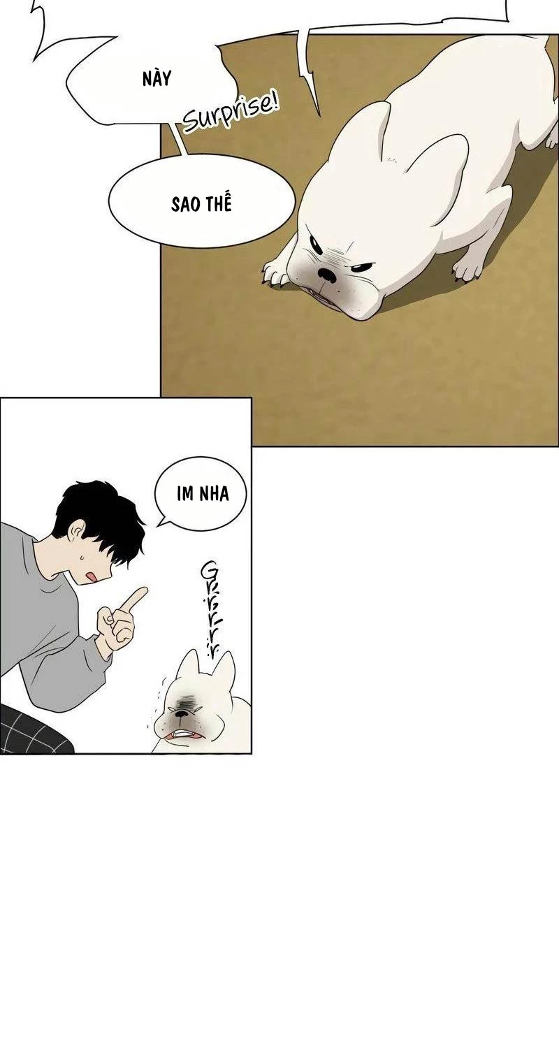 Chapter 1 - Trang 235
