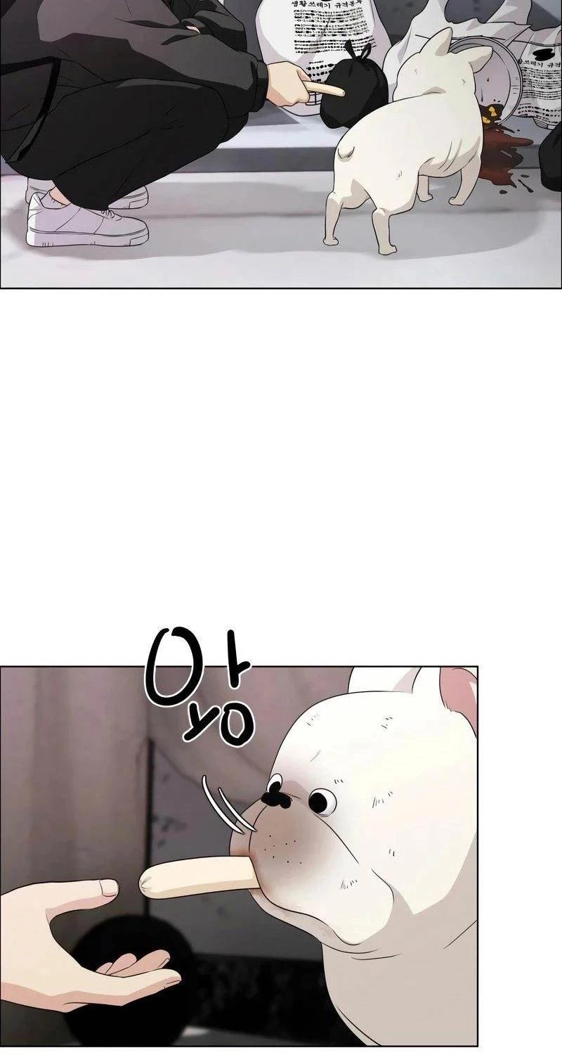 Chapter 1 - Trang 47