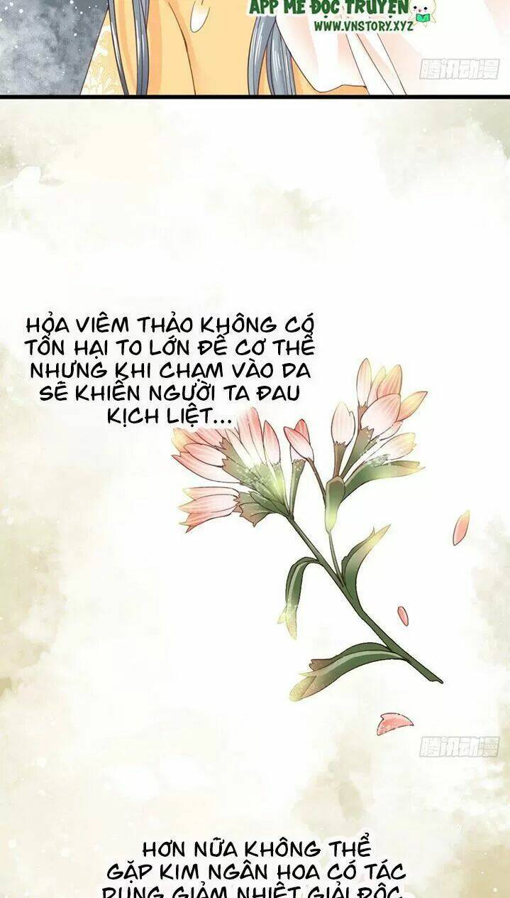 Chương 175 - Trang 14