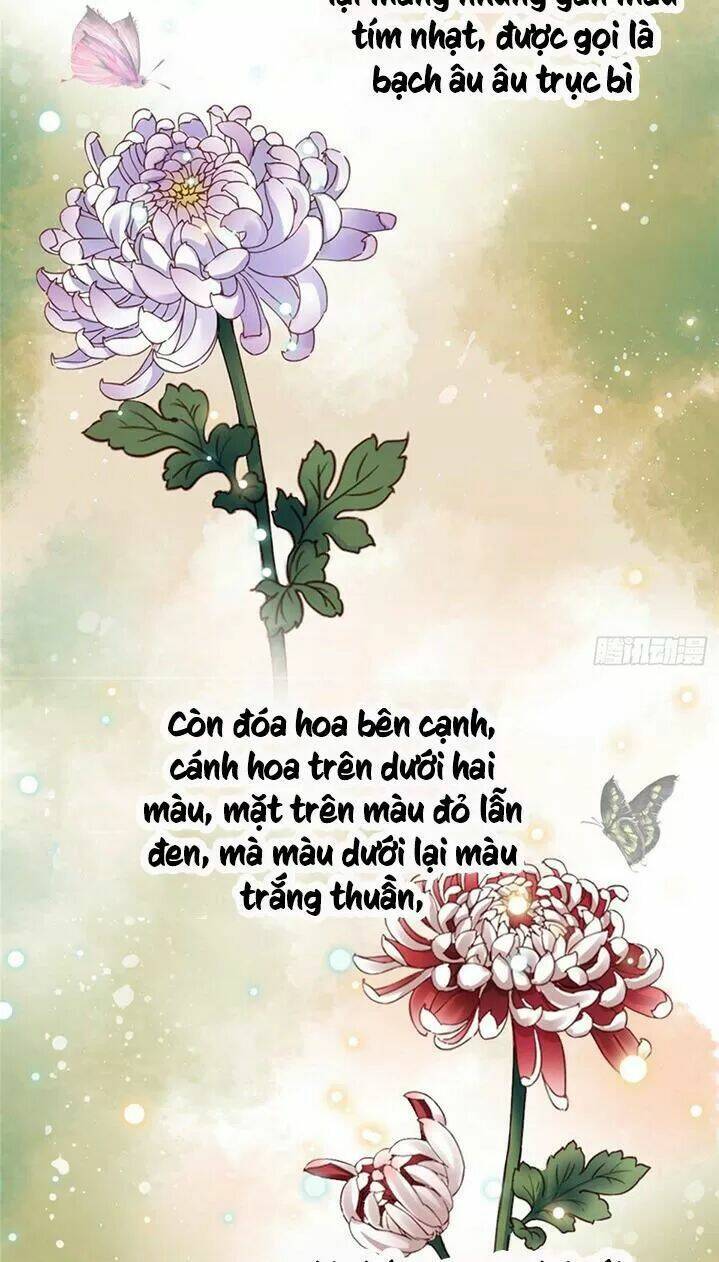 Chương 195 - Trang 24