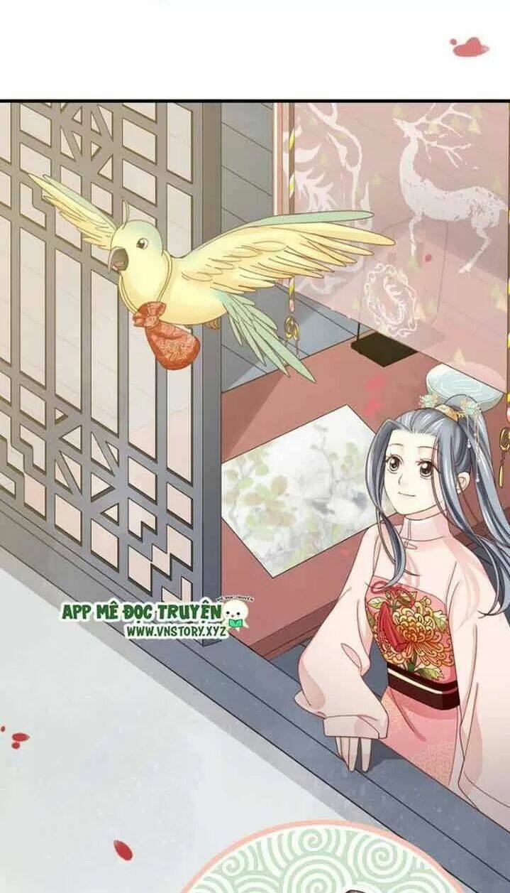Chương 257 - Trang 4