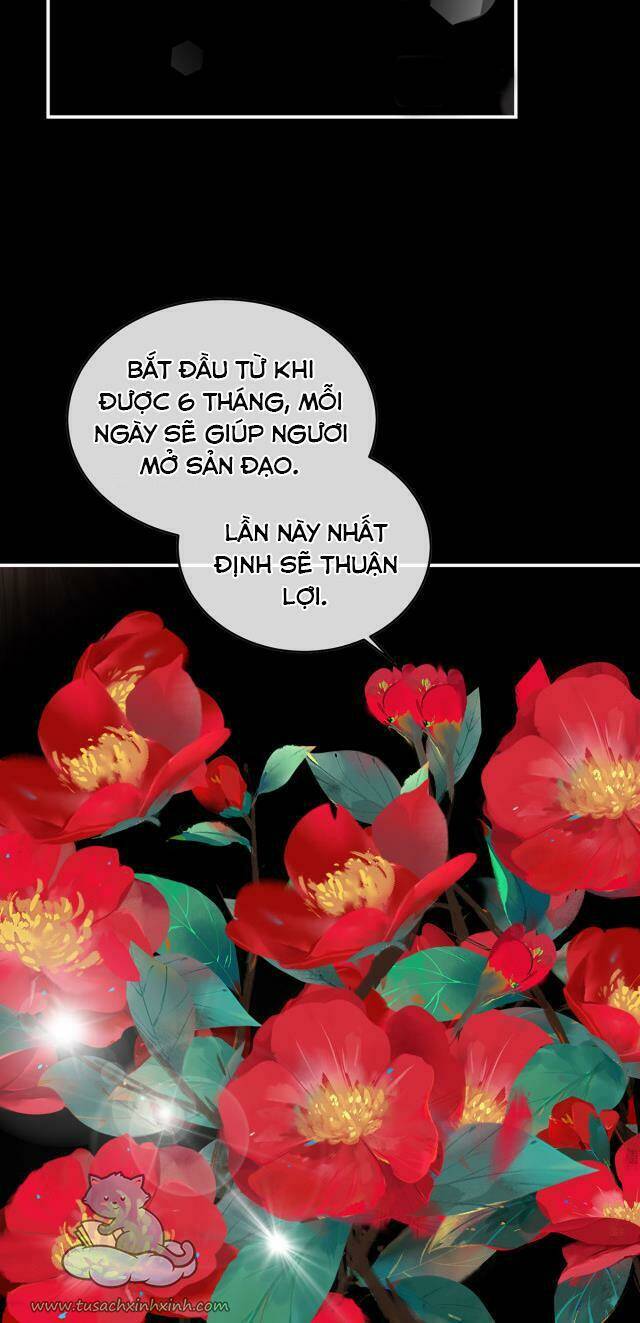 Chương 53 - Trang 31