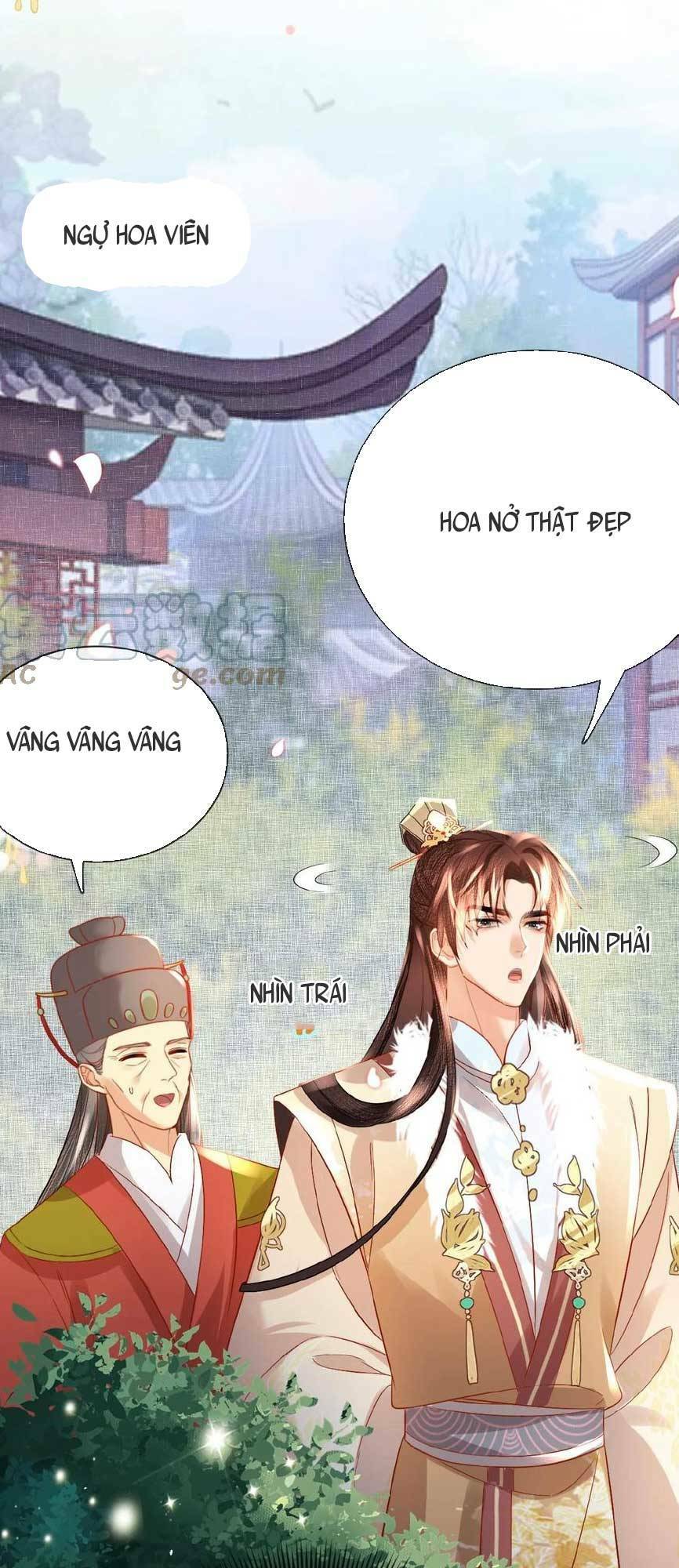 Trang 12