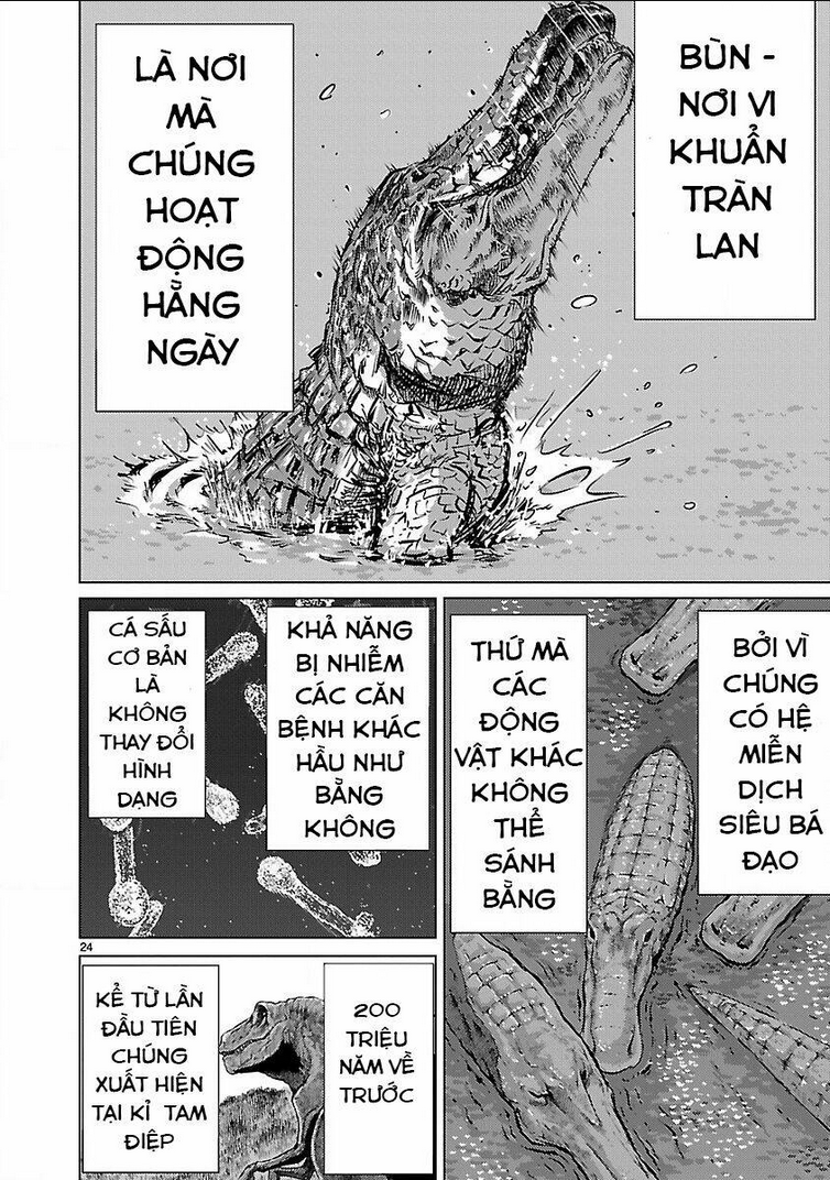 Chương 11 - Trang 25