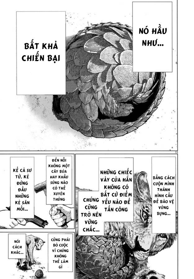 Chương 24 - Trang 15