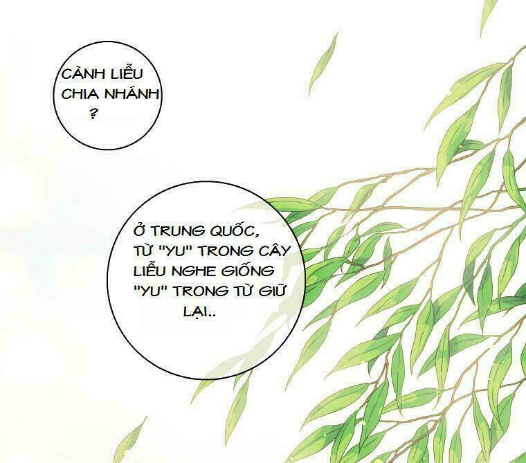 Trang 53