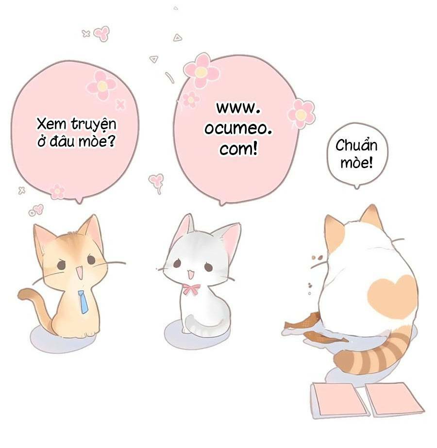 Chương 113 - Trang 24