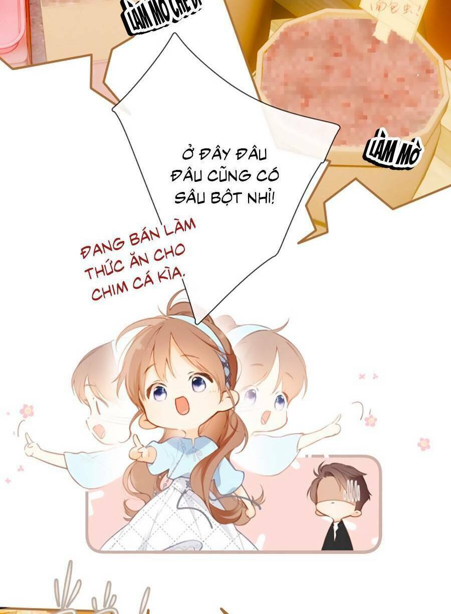 Chương 148.8 - Trang 5
