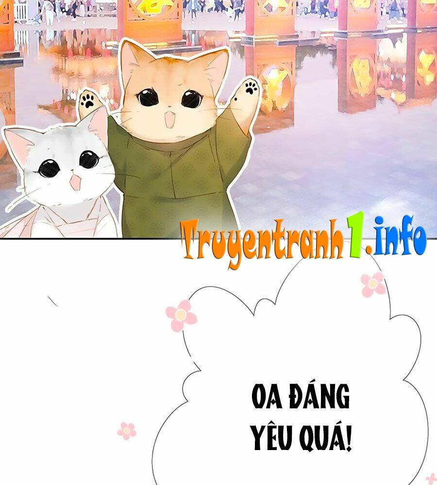 Chương 54.5 - Trang 16