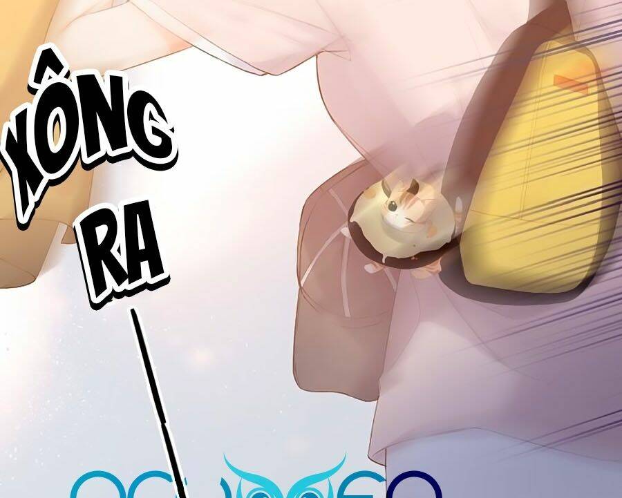 Chương 68 - Trang 27