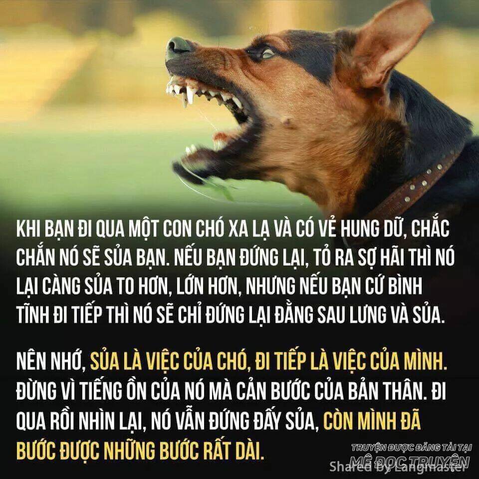 Chương 47.1 - Trang 31