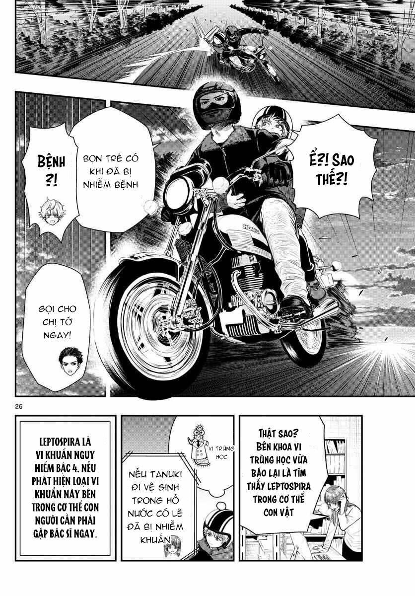 Trang 6