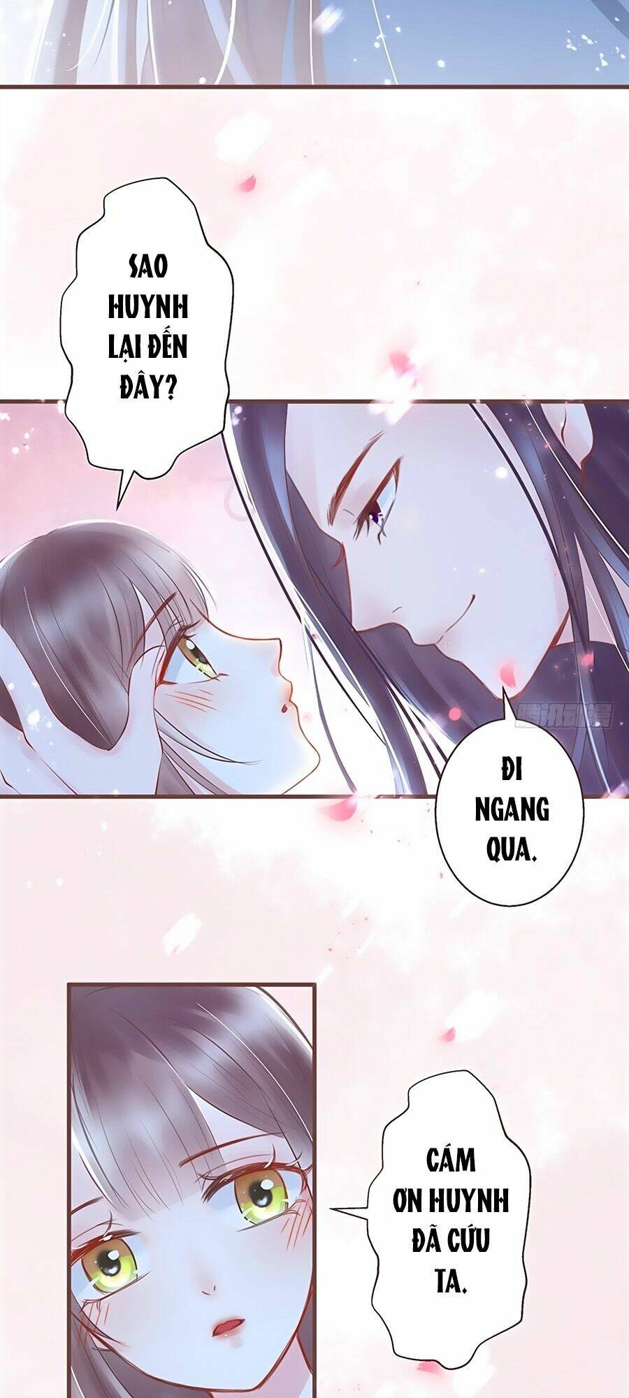 Trang 15