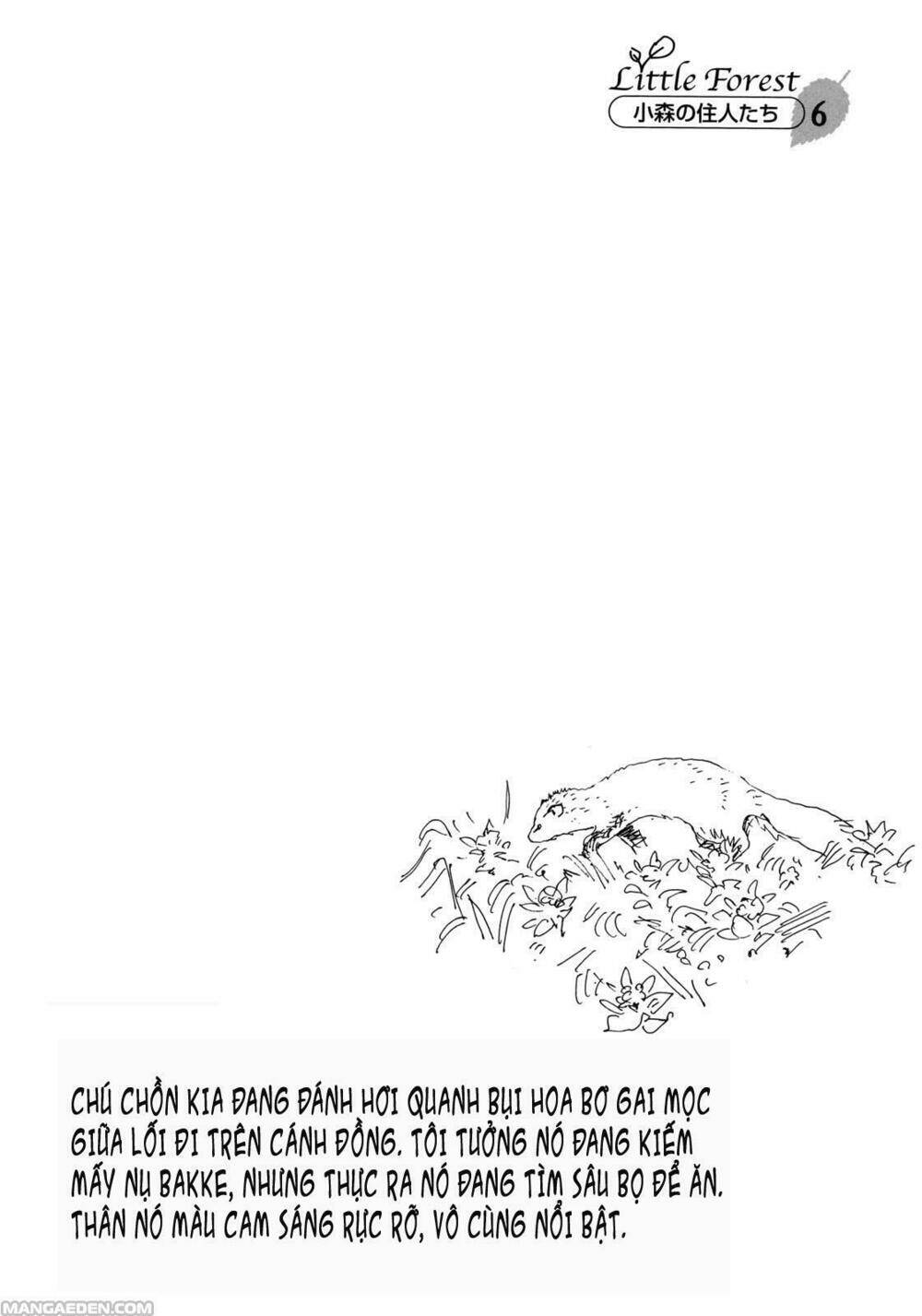 Chương 6 - Trang 12