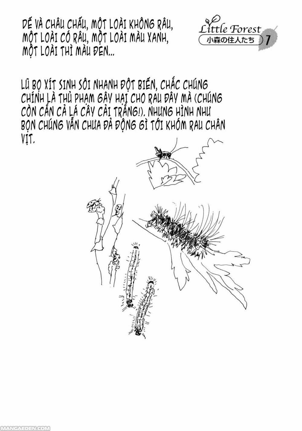 Chương 7 - Trang 11