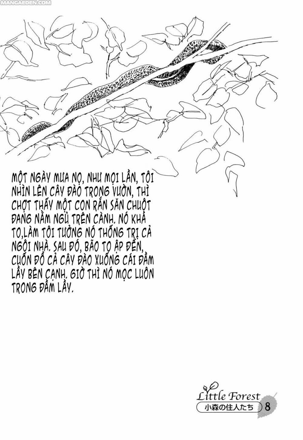 Chương 8 - Trang 10