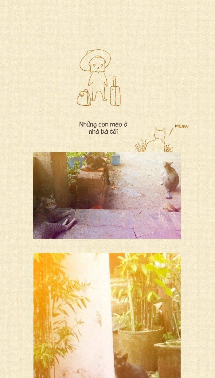 Chương 14.5 - Trang 25