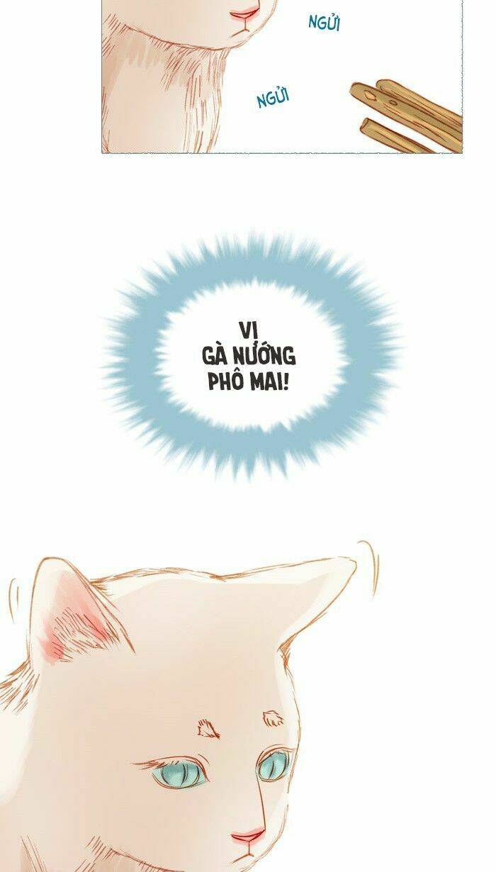 Chương 17 - Trang 8