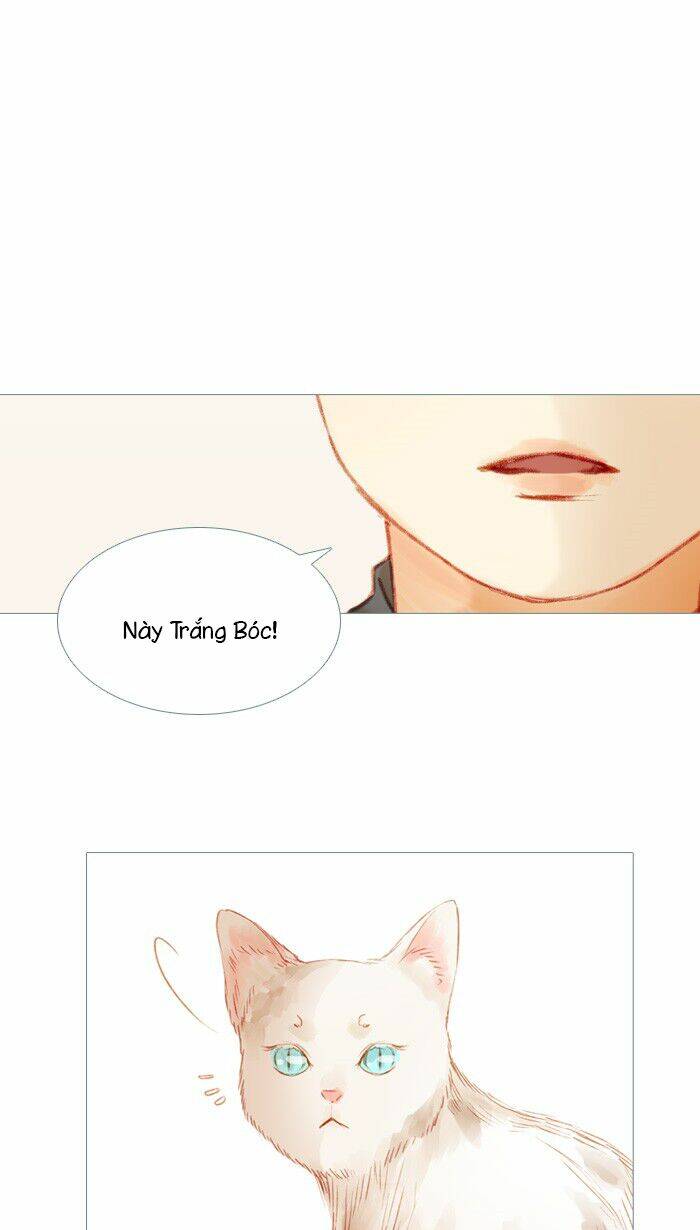 Chương 22 - Trang 21