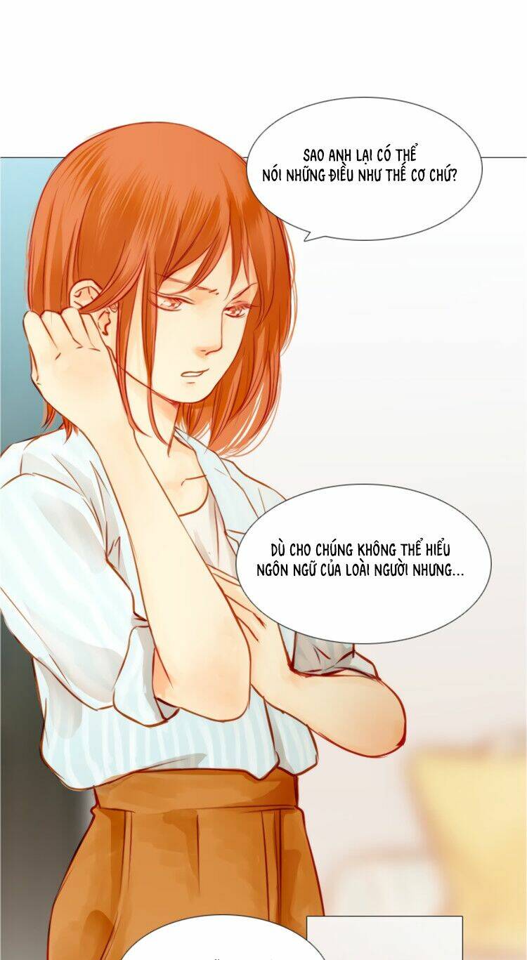 Chương 4 - Trang 16