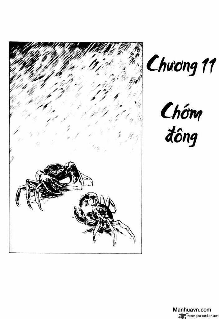 Chương 11 - Trang 1