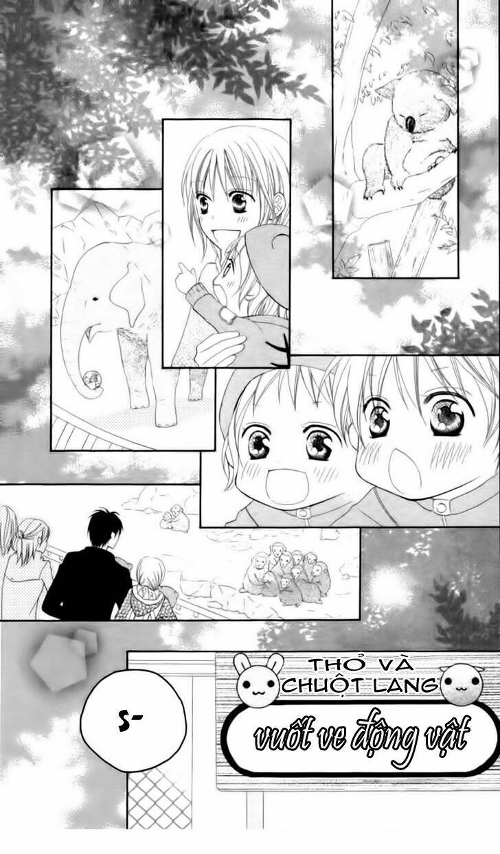 Trang 12