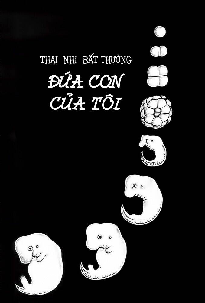 Chương 2 - Trang 3