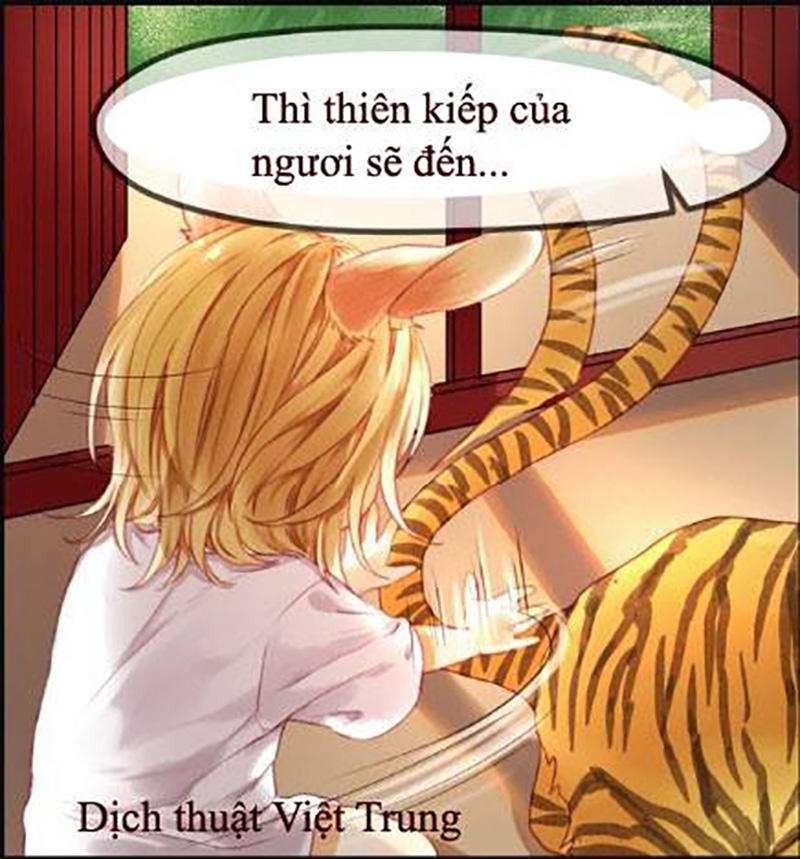 Chapter 1 - Trang 17