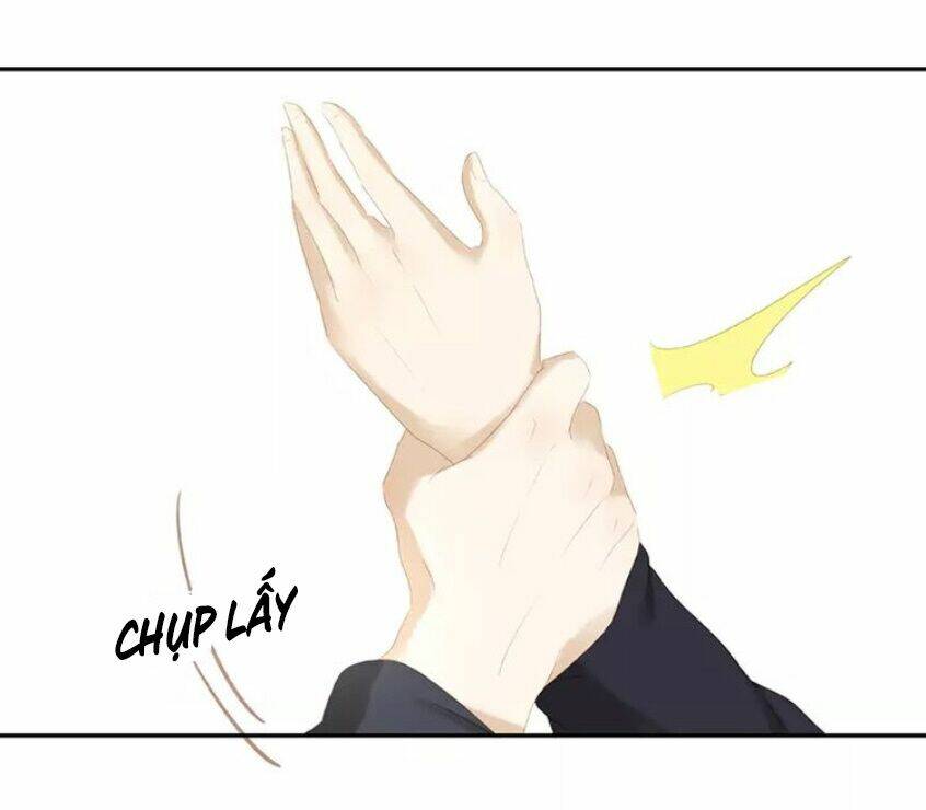 Chương 24 - Trang 37