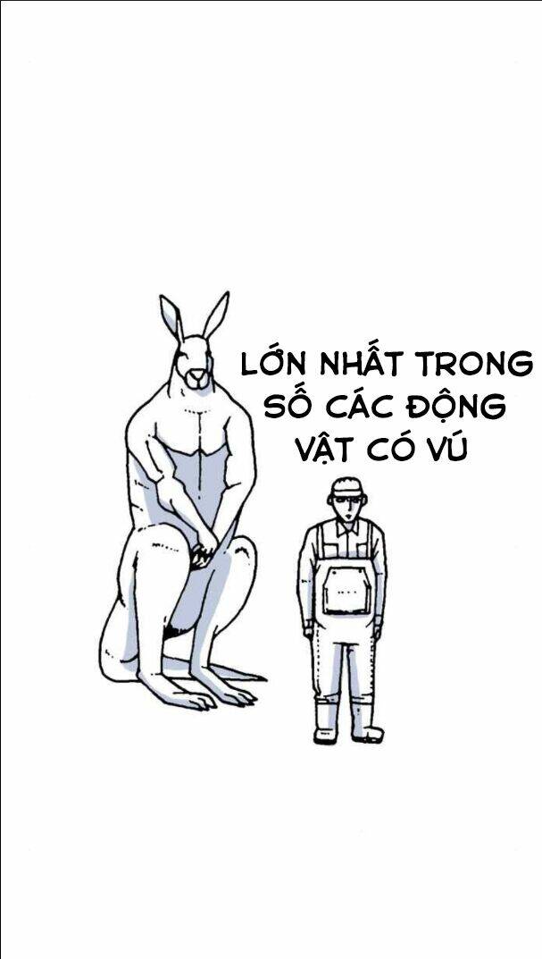 Chương 10 - Trang 3