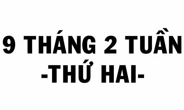 Chương 20 - Trang 21