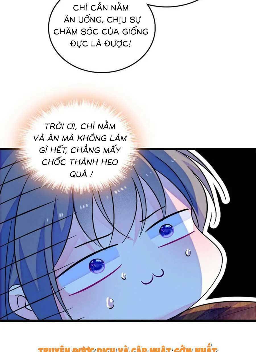 Chương 126 - Trang 11