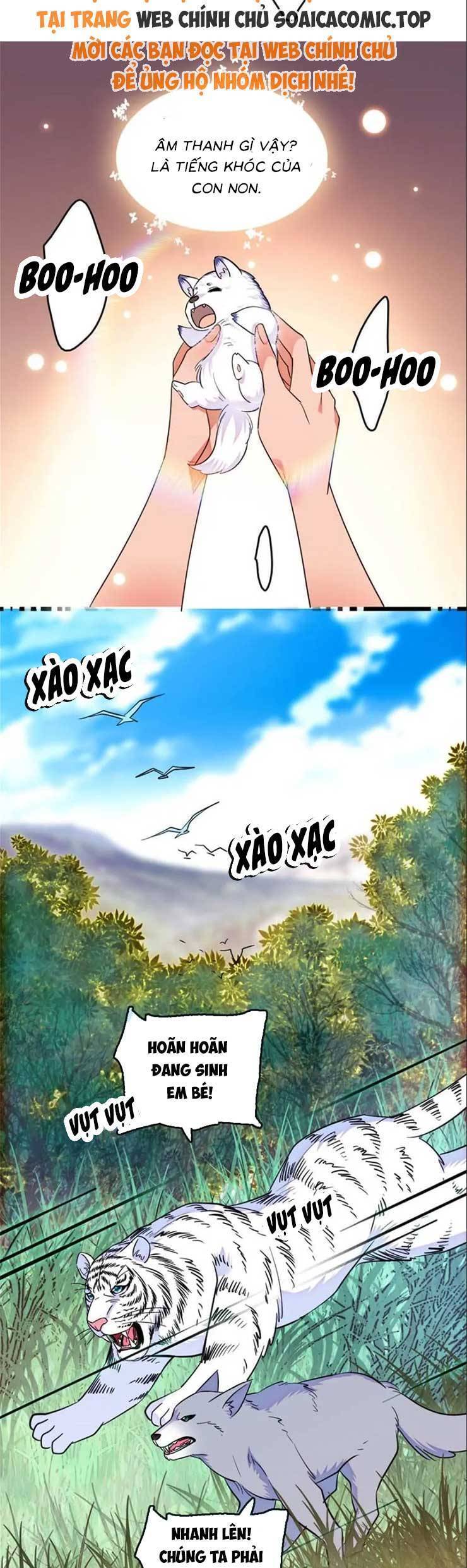 Chương 137 - Trang 10