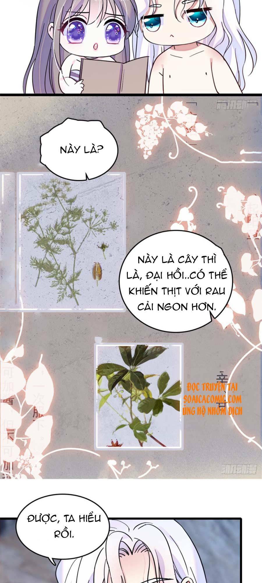 Chương 23 - Trang 11